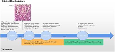 Case report: A combined immunotherapy strategy as a promising therapy for MSI-H colorectal carcinomas with multiple HPD risk factors